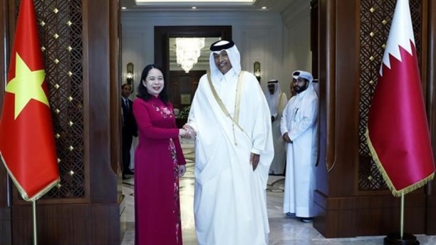 Vietnam looks to promote comprehensive cooperation with Qatar: Vice President
